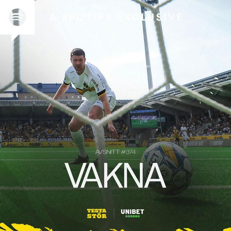 cover art for 374. VAKNA!
