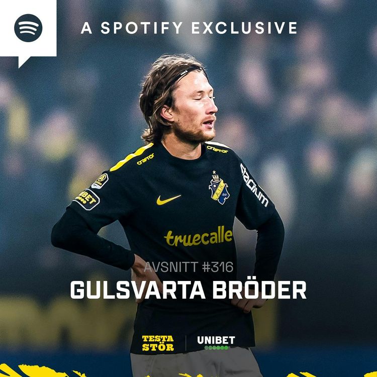 cover art for 316. Gulsvarta bröder