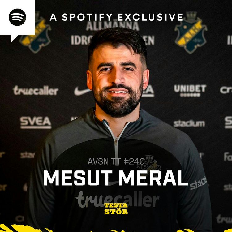 cover art for 240. Mesut Meral