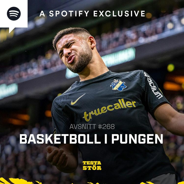cover art for 268. Basketboll i pungen