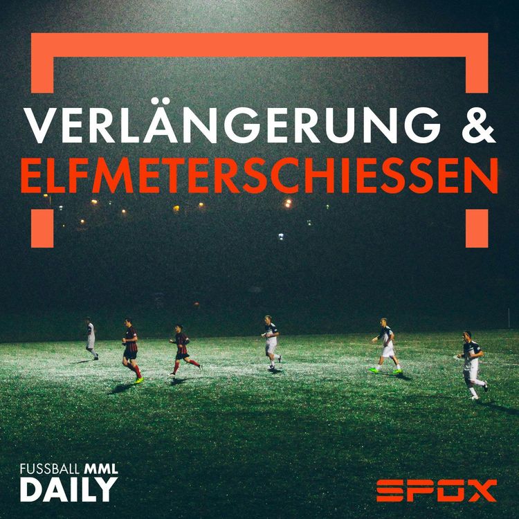 cover art for Warum outet sich kein Fußballer, Thomas Hitzlsperger?