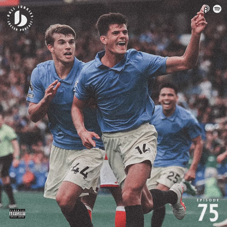 cover art for Episode 75: Seagulls Peck The Arse
