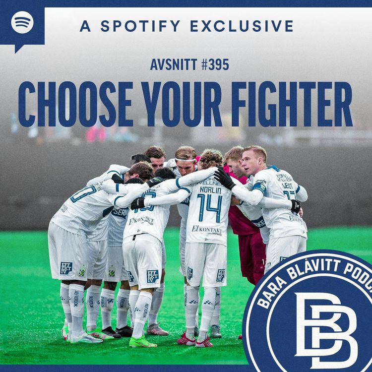 cover art for 395. Choose Your Fighter