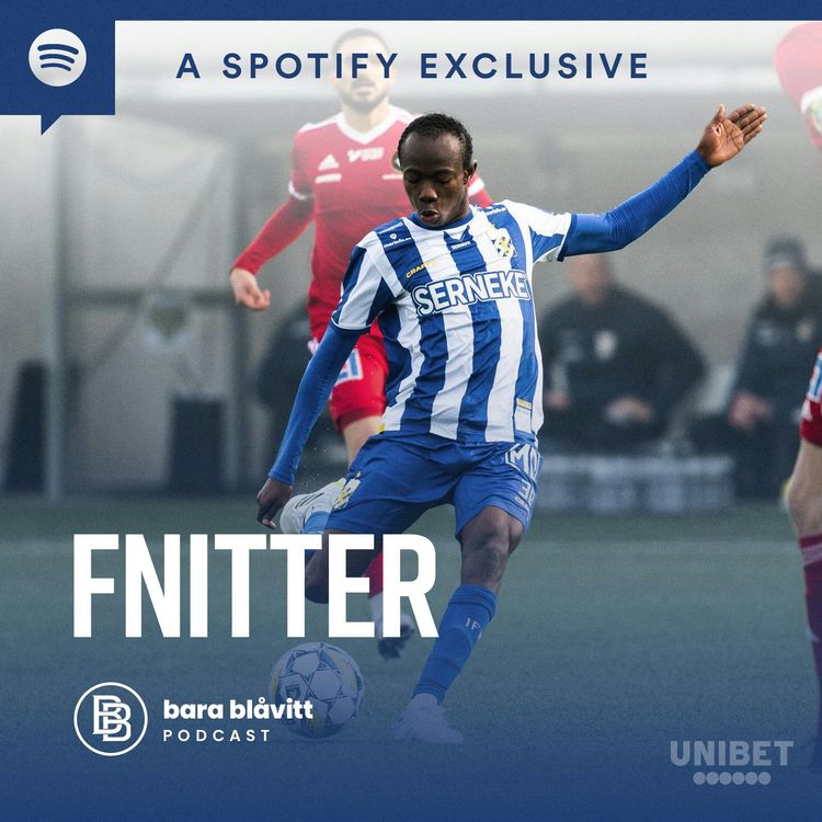 cover art for 480. Fnitter