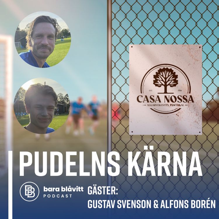 cover art for 594. Pudelns kärna