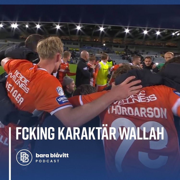 cover art for 623. FCKING KARAKTÄR WALLAH