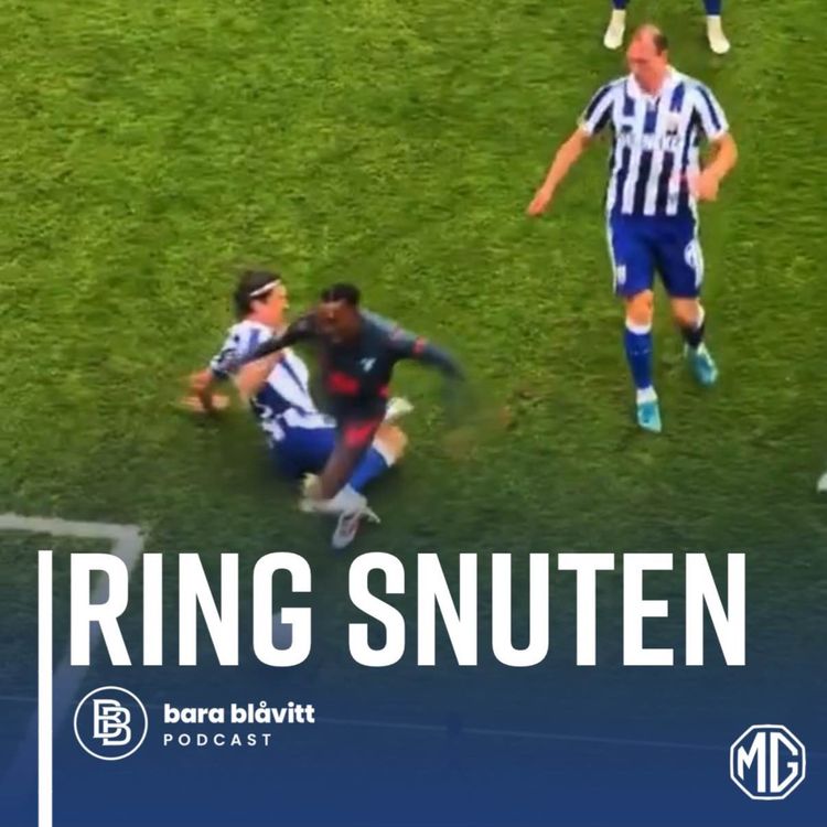 cover art for 636. Ring Snuten