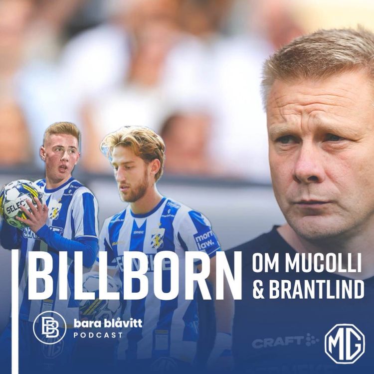 cover art for 645. Billborn om Mucolli och Brantlind