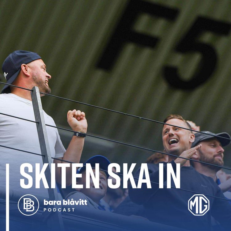 cover art for 658. Skiten ska in