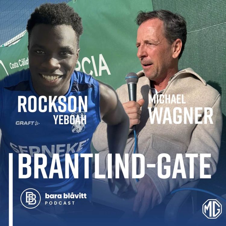 cover art for 719. Brantlind-Gate