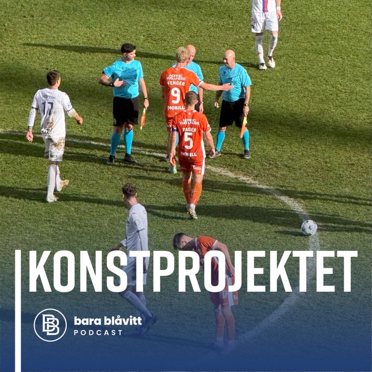 cover art for 733. Konstprojektet