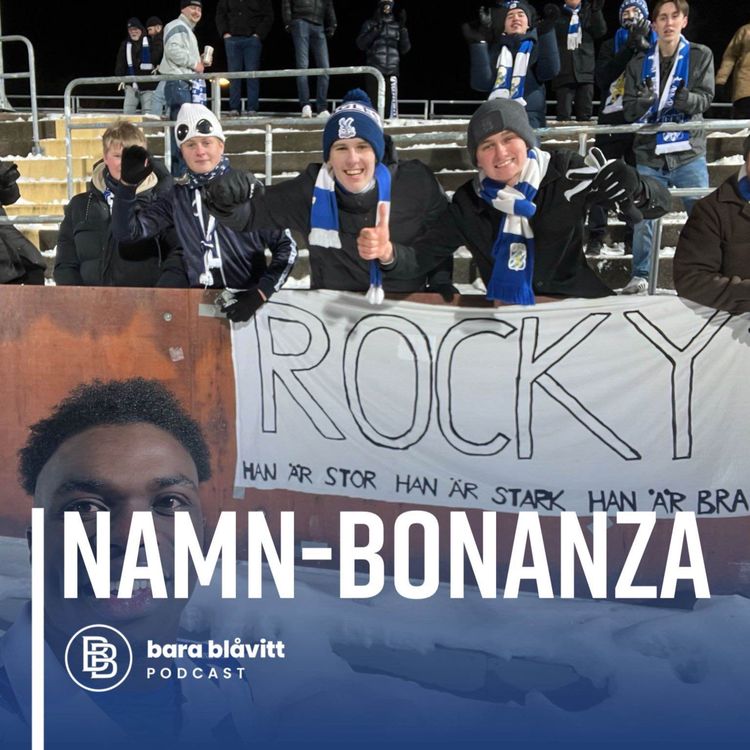 cover art for 737. Namn-bonanza