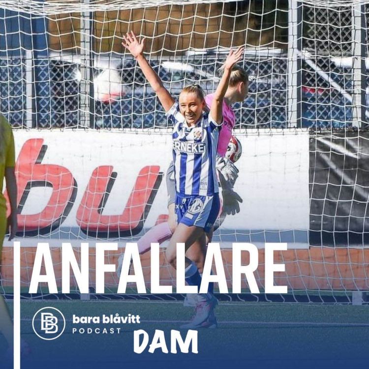 cover art for 739. DAM Anfallare