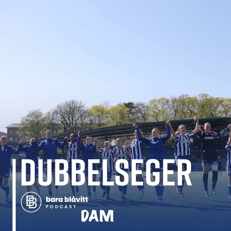 cover art for 779. DAM Dubbelseger