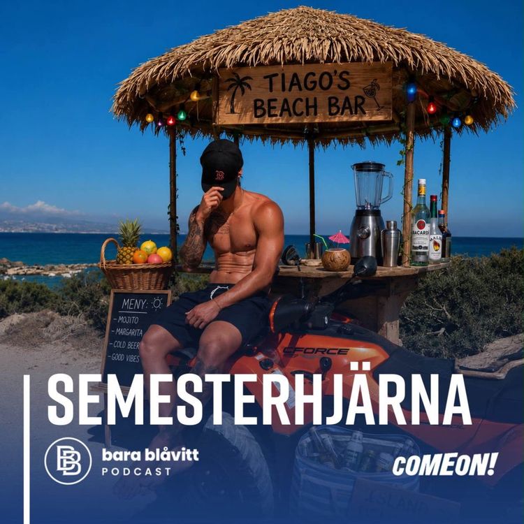 cover art for 790. Semesterhjärna