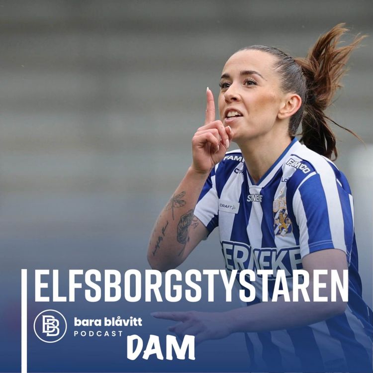 cover art for 792. DAM Elfsborgstystaren