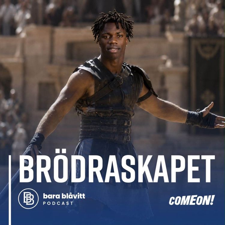 cover art for 795. Brödraskapet
