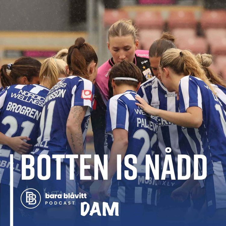cover art for 837. DAM Botten is nådd