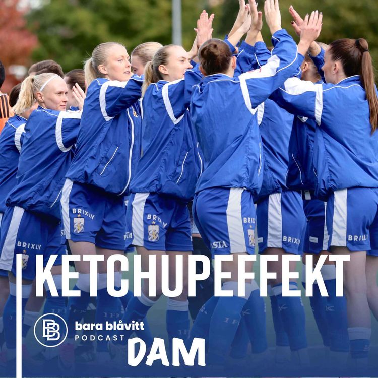 cover art for 850. DAM Ketchupeffekt