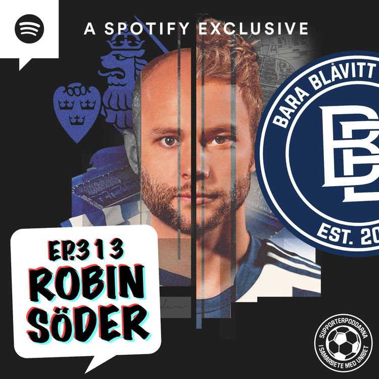 cover art for 313. Robin Söder