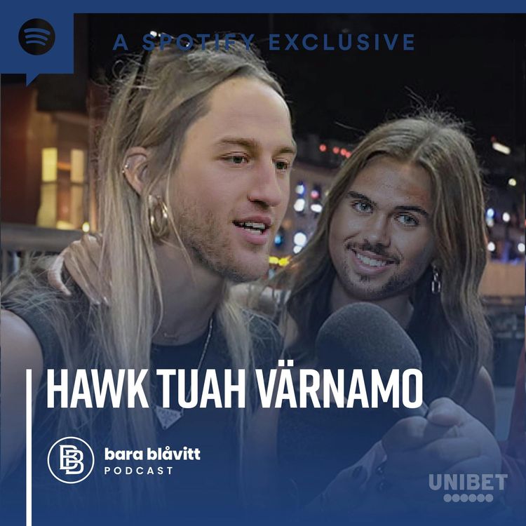 cover art for 530. Hawk tuah Värnamo