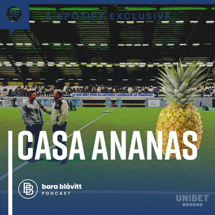 cover art for 577. Casa Ananas