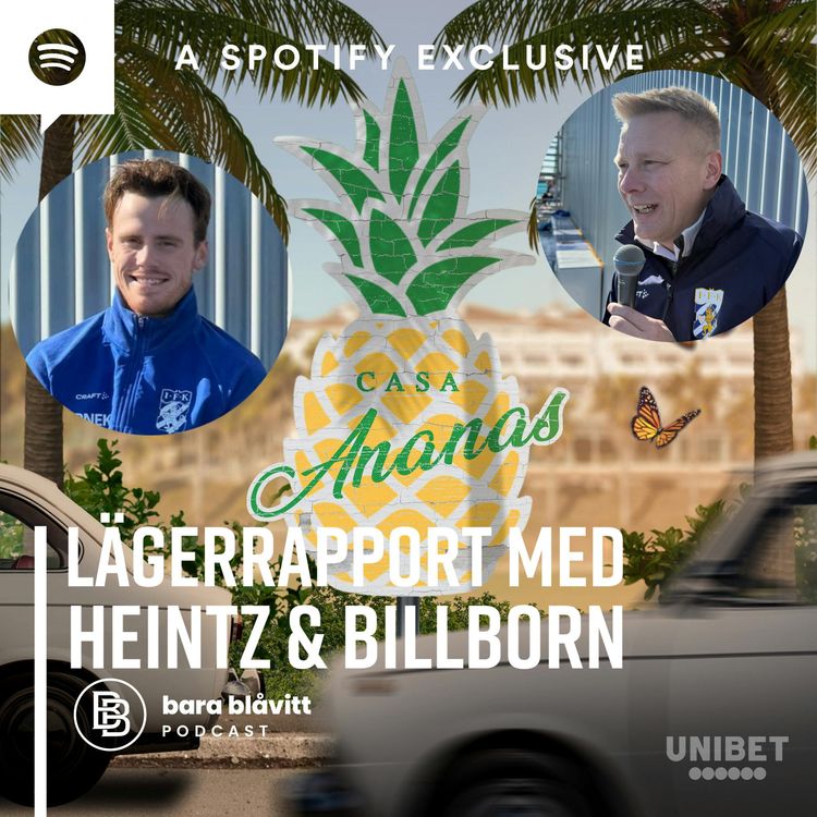 cover art for 580. Casa Ananas Lägerrapport med Heintz & Billborn