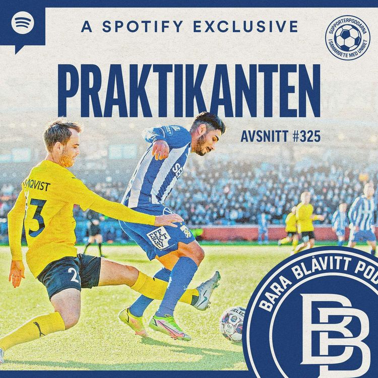 cover art for 325. Praktikanten