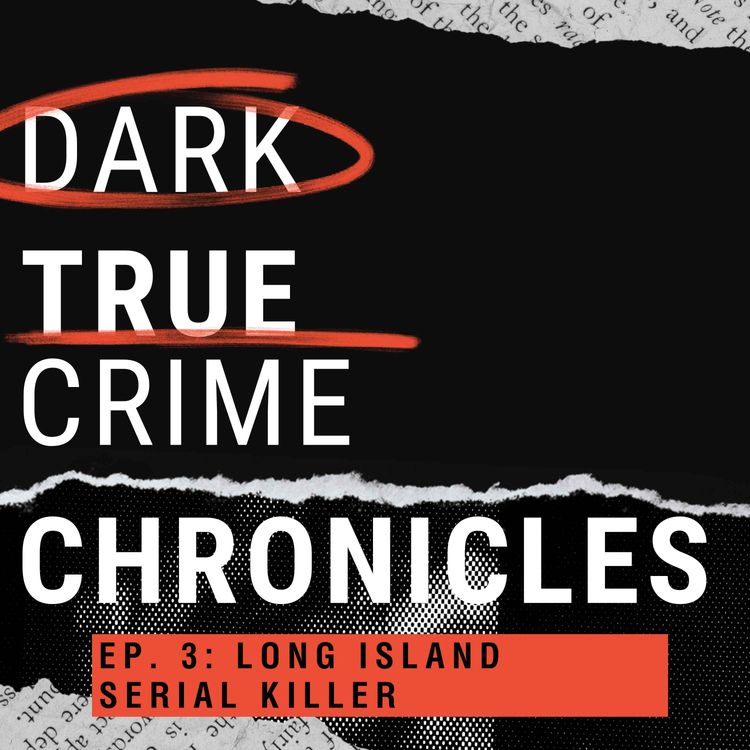 cover art for Long Island Serial Killer