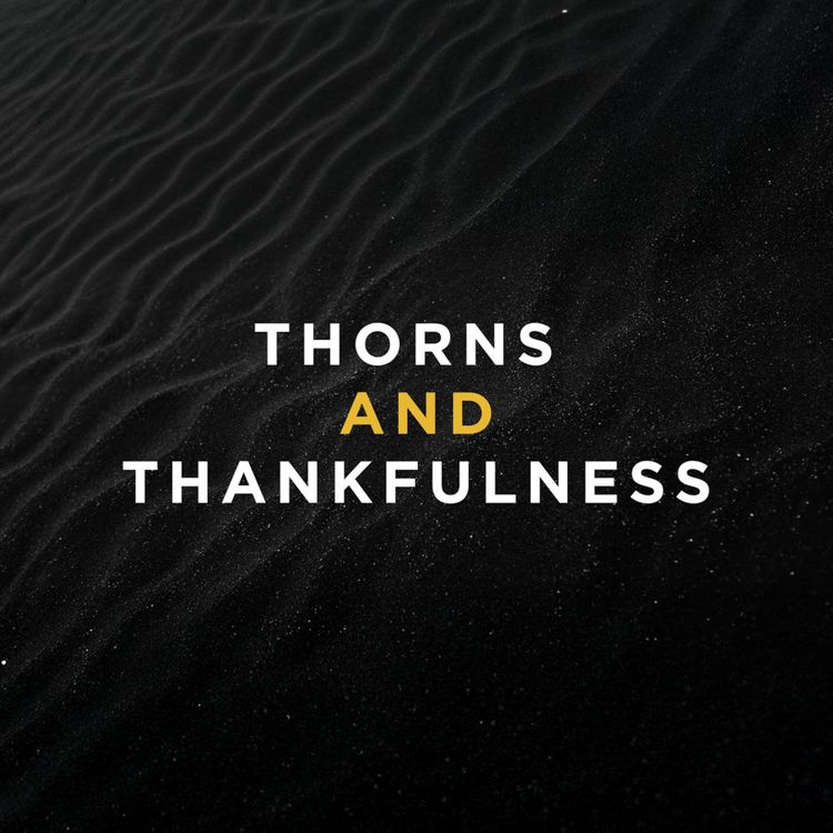 cover art for Thorns and Thankfulness June 29, 2025