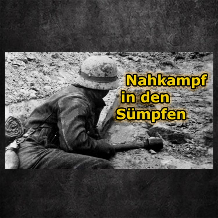 cover art for (Werbefrei) Nahkampf im Sumpf und Stuka in Afrika