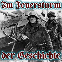 cover art for Im Feuersturm der Geschichte