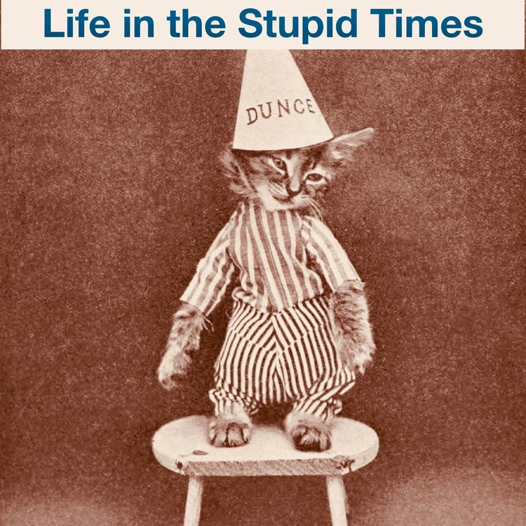 cover art for Manifest Stupidity