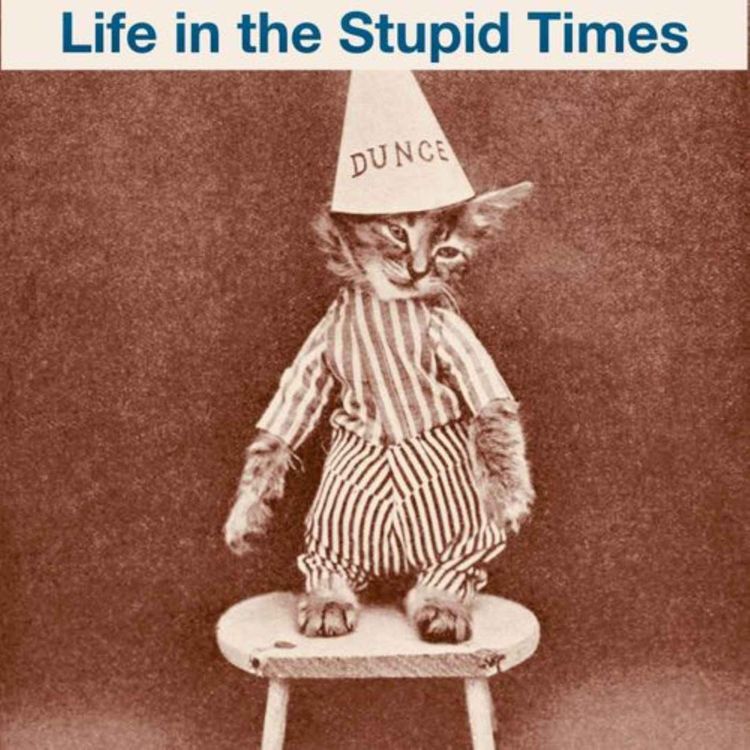 cover art for Marines, a Billionaire Feud and Q Nonsense