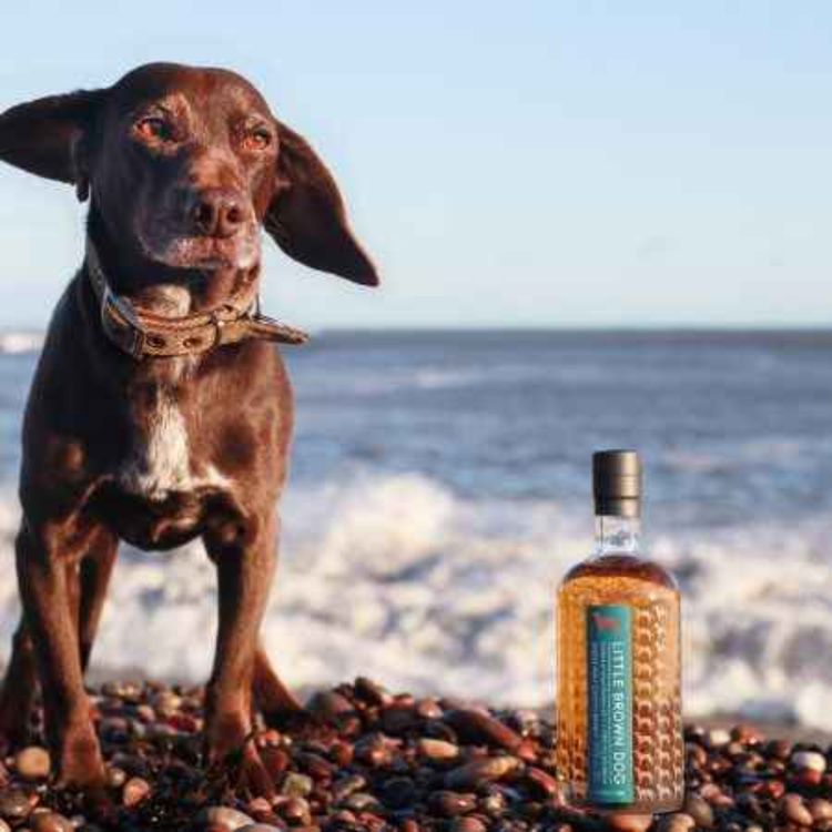 cover art for Little Brown Dog - The Independent Bottlers