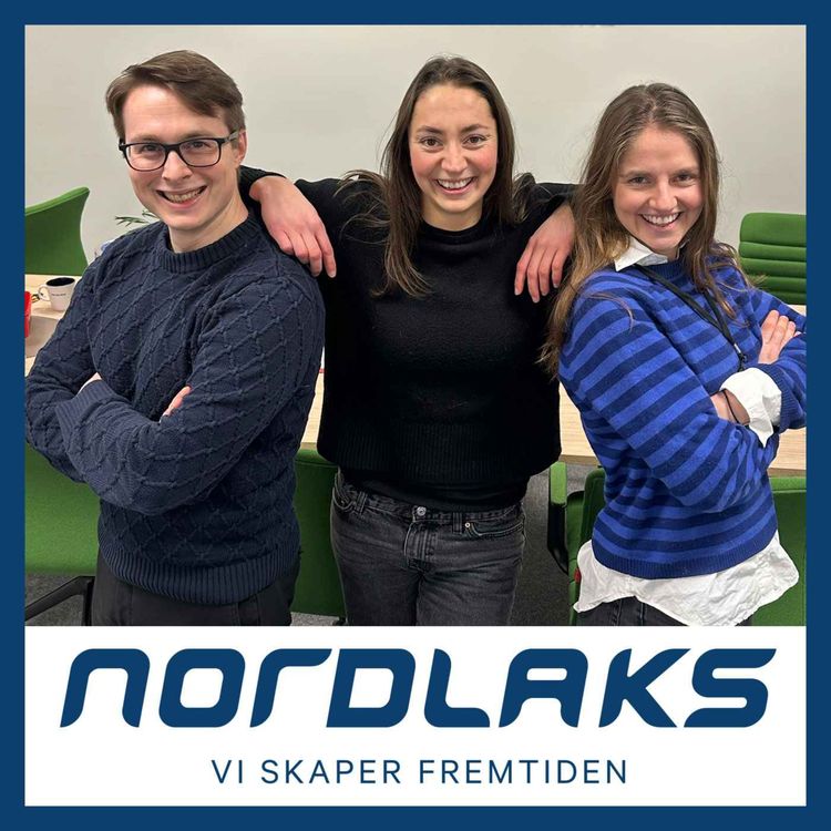 cover art for Søringer i nord