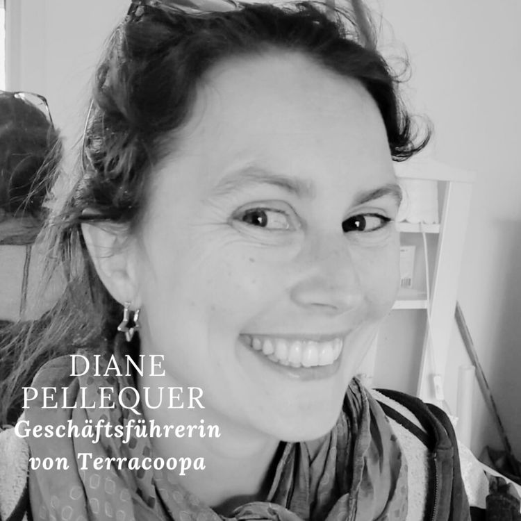 cover art for Diane Pellequer