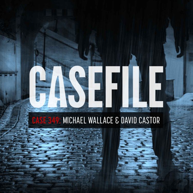 cover art for Case 349: Michael Wallace & David Castor