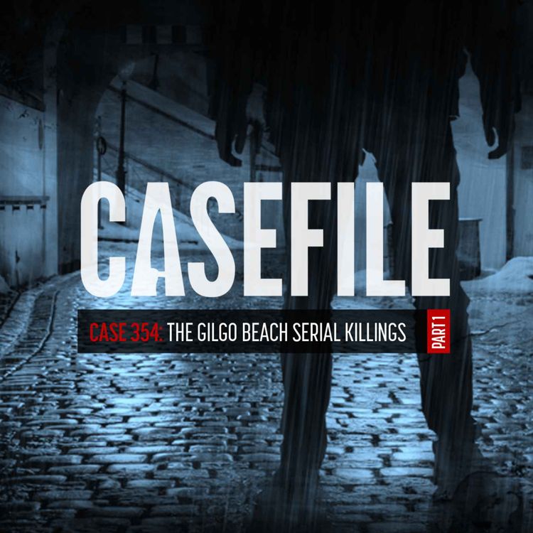 cover art for Case 354: The Gilgo Beach Serial Killings (Part 1/2)