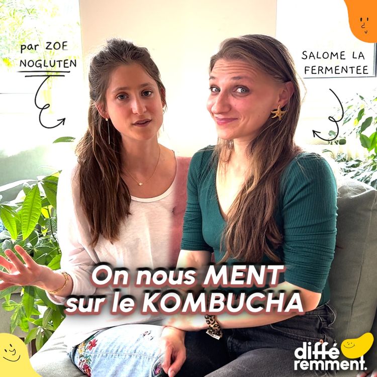 cover art for #26 Fermentation, kéfir, kombucha : arnaque ou santé ? 