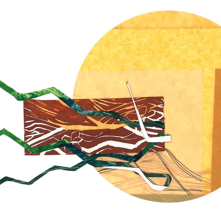 cover art for Gorey Community College Creative February Podcast