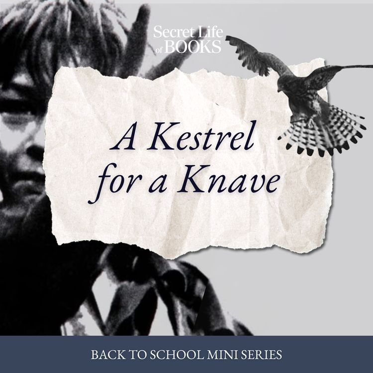 cover art for Back to School 3: A Kestrel for a Knave by Barry Hines 