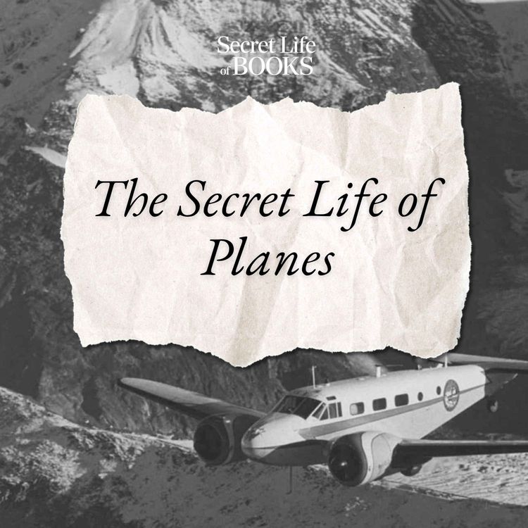 cover art for Secret Life of Planes