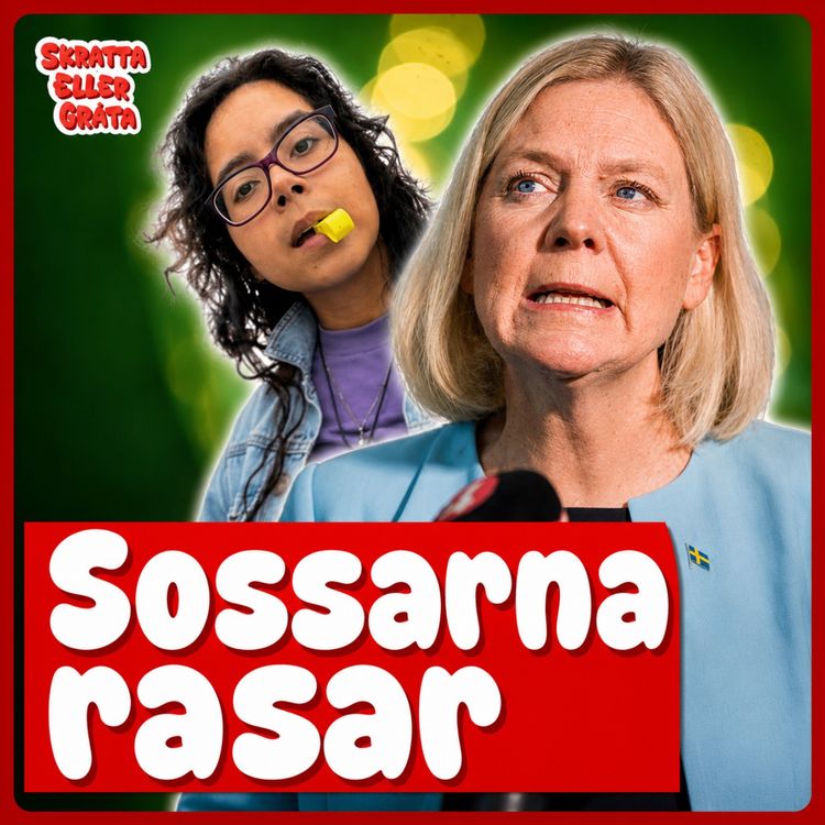 cover art for V-politiker mordhotar sverigedemokrat & Socialdemokraterna rasar