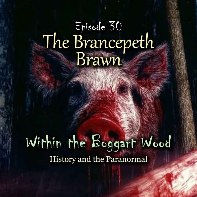 cover art for Episode 30. The Brancepeth Brawn