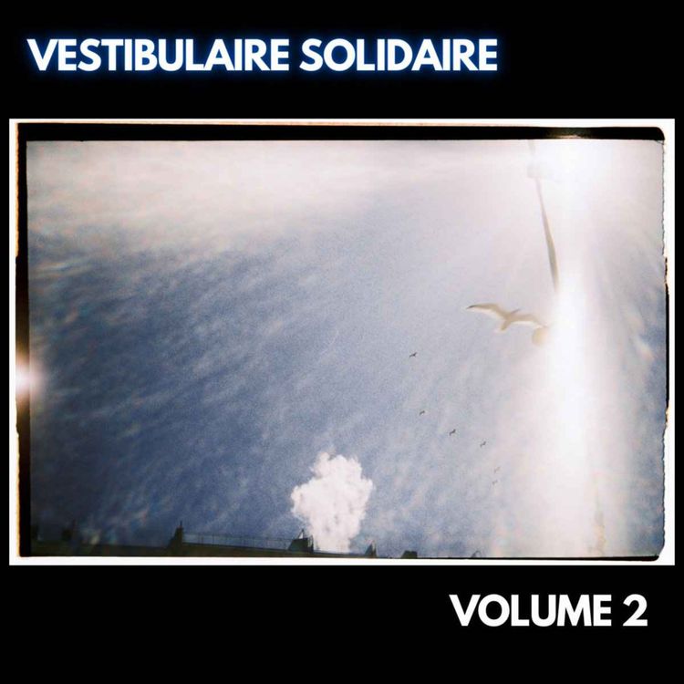 cover art for Interview: Eric in the kitchen à propos de la compilation - Vestibulaire solidaire Vol.2 -