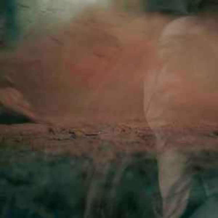 cover art for Jus de Box - la playlist 13/12/25