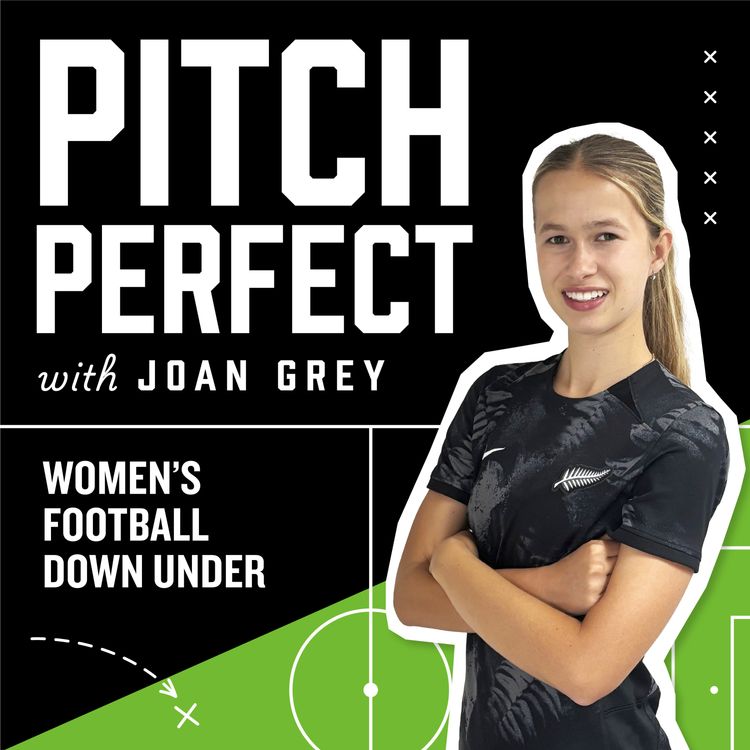 cover art for Michigan to Maiden Castle with Football Fern Hannah Blake