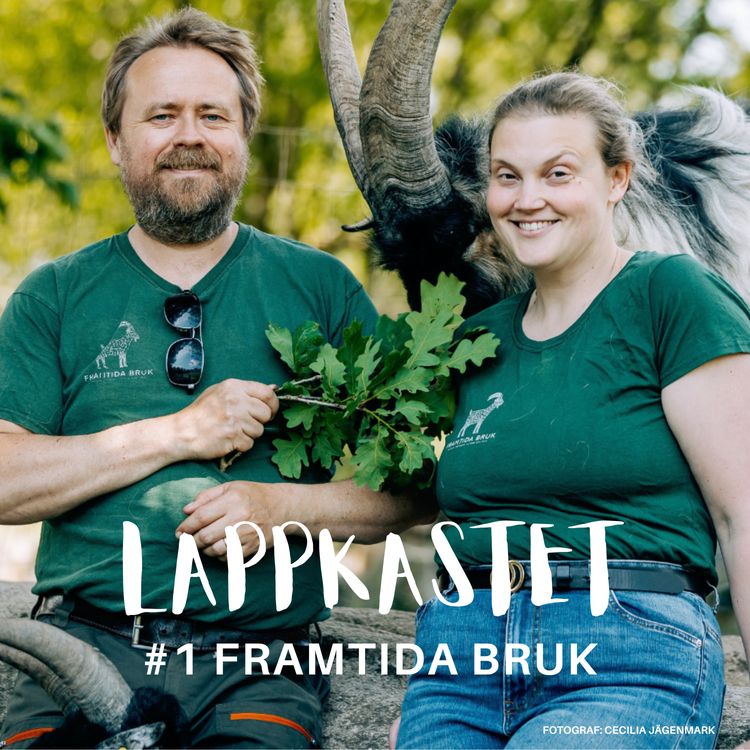 cover art for Från skärmtid till tid med fyrbenta charmtroll