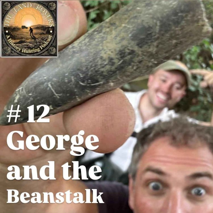 cover art for George and the Beanstalk
